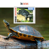 Central Africa 2020 Fauna  Turtles  S202101 - Collections (without Album)
