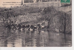 SAINT LAURENT SUR GORRE(LAVEUSE) LAVOIR - Saint Laurent Sur Gorre