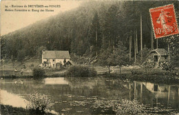 Bruyères En Vosges * Environs * Maison Forestière Et étang Des Huttes - Bruyeres