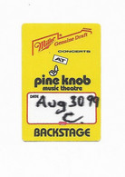 PASS BACKSTAGE 1999 - The CRANBERRIES TOUR BURY THE HATCHET - CONCERTS PINE KNOB MICHIGAN USA - Entradas A Conciertos