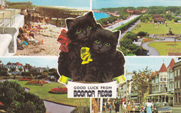 BOGNOR REGIS MUKLTI VIEW . BLACK CATS - Bognor Regis