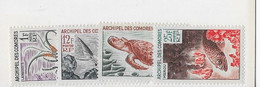 ⭐ Grande Comore Y.T N°35 à 38** , Neuf Sans Charnière ⭐ - Unused Stamps