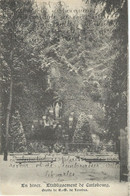 Etablissement De CARLSBOURG - En Hiver - Grotte De N-D De Lourdes - RARE VARIANTE - Cachet De La Poste 1903 - Paliseul