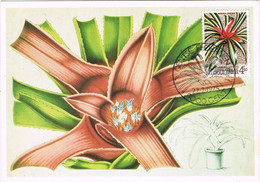 39572. Tarjeta Maxima GENT (Belgien) 1975. Flowers, Flores. NOEREGELIA. Floralies Gantoises - 1971-1980