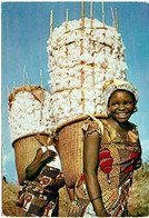 CPSM Sénégal. Afrique En Couleur. Récolte De Coton Crop Of Cotton, Timbre 1966 - Senegal