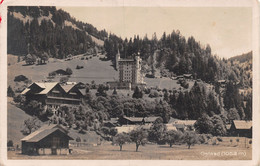 Gstaad - Palace - Gstaad