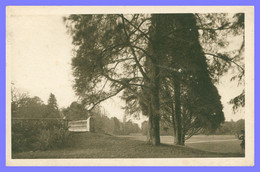 Le Collège Féminin De BOUFFEMONT - Une Vue Du Parc - Imp. GEORGES LANG. - 1934 - Bouffémont