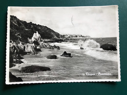 TROPEA ( CATANZARO ) PANORAMA 1955 - Catanzaro