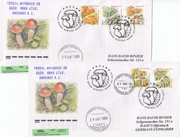 FDC RUSSIA 1108-1112,mushrooms - FDC