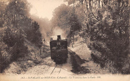 Saint Palais Sur Mer            17        Le Tramway Dans La Forêt     BR 263        (voir Scan) - Saint-Palais-sur-Mer