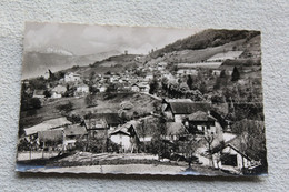 Cpsm 1960, Laval, Vue Générale Et La Tour, Isère 38 - Laval