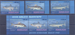 2020. Kyrgyzstan, Fauna Of Kyrgyzstan, Fishes, 3v + S/s Perforated, Mint/** - Kirgisistan