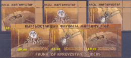 2020. Kyrgyzstan, Fauna Of Kyrgyzstan, Spiders, 3v + S/s  Perforated, Mint/** - Kirghizstan