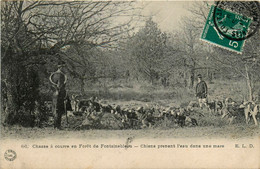 Fontainebleau * La Forêt * Chasse à Courre * Vénerie * Chiens Prenant L'eau Dans Une Mare - Fontainebleau