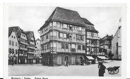 MOSBACH - PALMS HAUS - Mosbach