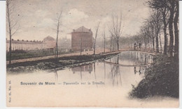 Mons, Passerelle Sur La Trouille (colonisée) - Mons
