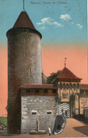 ROMONT - ENTREE DU CHATEAU - 1912 - Romont