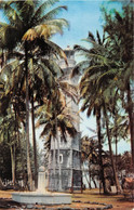 ¤¤   -  POLYNESIE FRANCAISE  -  TAHITI  -  Monument De Cook & Le Phare De La Pointe-Vénus   -  ¤¤ - Polynésie Française