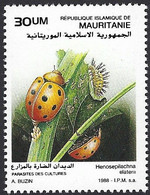 Mauritania Mauritanie 1988 Melon Ladybird Henosepilachna Elaterii Beetle Insect Mi 948 ** MNH André Buzin - Mauritania (1960-...)