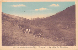 22 - LES ROSAIRES - PLERIN / LA VALLEE DES BEGUELIERS - Plérin / Saint-Laurent-de-la-Mer