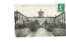 Cpa -  [01] Ain > Montluel - La Saulsaie Ancienne école D'Agriculture - Brossette - Montluel