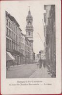 Antwerpen Sint-katelijnevest Toren Van Carolus Borromeus Sint-Carolus Borromeuskerk - Antwerpen