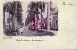 T.P. NO CIRCULADA , SURINAME / SURINAM ,  PARAMARIBO - MAAGDENSTRAAT MET KONINGSPALMEN - Surinam