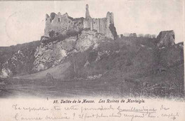 Falaën - Onhaye - Vallée De La Meuse - Les Ruines De Montaigle - Circulé En 1904 - Dos Non Séparé - TBE - Onhaye