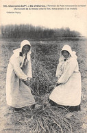 Ile D'Oléron        17       Femmes Du Pays Ramassant Le Sarment   Cliché Braun  N° 966   (voir Scan) - Ile D'Oléron