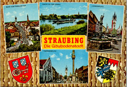 7238 - Deutschland - Straubing , Die Gäubodenstadt , Theresienplatz , Ludwigsplatz - Gelaufen 1976 - Straubing