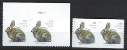USA. Scott # 5544-45 MNH From Sheet & Coil Pairs With Pl #. Brush Rabbit.  2021 - Ungebraucht