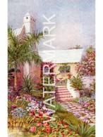 BERMUDA A GARDEN IN PEMBROKE OLD ART COLOUR POSTCARD ANTILLES BY ETHEL & C. F. TUCKER NO13 PLAIN BACK POSTCARD - Bermuda