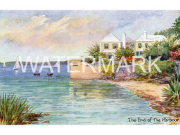 BERMUDA THE END OF THE HARBOUR OLD ART COLOUR POSTCARD ANTILLES BY ETHEL & C. F. TUCKER NO31 PLAIN BACK POSTCARD - Bermuda