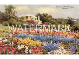 BERMUDA POMANDER GATE GARDEN OLD ART COLOUR POSTCARD ANTILLES BY ETHEL & C. F. TUCKER NO32 PLAIN BACK POSTCARD - Bermuda