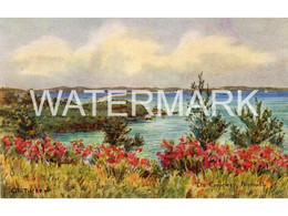 BERMUDA THE CAUSEWAY OLD ART COLOUR POSTCARD ANTILLES BY ETHEL & C. F. TUCKER NO33 PLAIN BACK POSTCARD - Bermuda