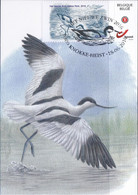 CM/MK - MYSTAMP° - FDC - Avocette élégante / Kluut / Avocet / Recurvirostra Avosetta - Zwin - BUZIN - Briefe U. Dokumente