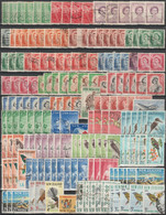 Nouvelle Zélande. Petit Lot De Timbres Oblitérés. Voir Scans - Colecciones & Series