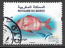 Morocco 2016. Scott #1224 (U) Fish, Pagrus Auriga ** Complete Issue - Marocco (1956-...)