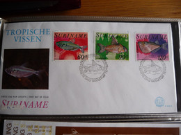 (SUR) SURINAME 1978 ZBL FDC E24B VIS FISH POISSON - Surinam