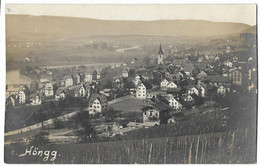 HÖNGG: Echt-Foto-AK Quartieransicht, Rebberg ~1920 - Höngg