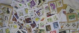 Ireland KILOWARE DjungelBag 500g (1LB-1½oz) Definities Modern Very Low Variation Eire - Lots & Kiloware (mixtures) - Min. 1000 Stamps