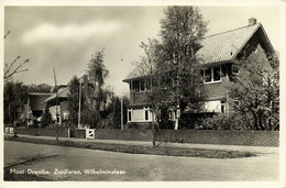 Nederland, ZUIDLAREN, Wilhelminalaan, Mooi Drenthe (1951) Ansichtkaart - Zuidlaren