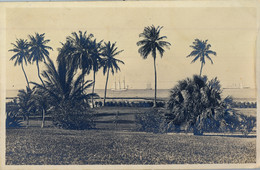 BAHAMAS , T.P. NO CIRCULADA , NASSAU HARBOUR - Bahamas