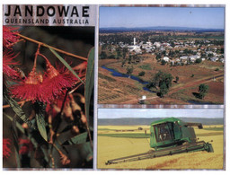 (KK 9) Australia - QLD - Jandowae (farming) - Landwirtschaftl. Anbau