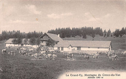 Le Grand-Vy Montagne Du Creux-du-Van - Troupeau De Vache - Génisses - Gorgier - Gorgier