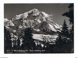 S. VITO  DI  CADORE (BL):  MONTE  ANTELAO  -  FOTO  -  FG - Bergsteigen