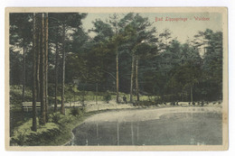 Bad Lippspringe Waldsee Feldpost 1915 RIR 257 - Bad Lippspringe