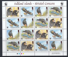 Falkland Islands 2006 WWF / Striated Caracara 4v  In Sheetlet ** Mnh (F8567) - Falkland Islands