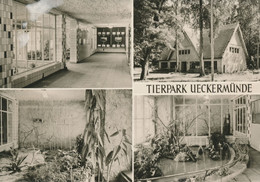 Tierpark Ueckermünde, Germany - Vivarium - Ueckermuende