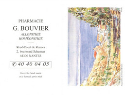 6796 Petit Calendrier De Poche  1996 (scan Recto-verso)   Aquarelle Vincent Breton Pharmacie BOUVIER NANTES 44 - Formato Piccolo : 1991-00